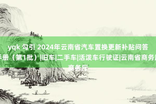 yqk 勾引 2024年云南省汽车置换更新补贴问答手册（第1批）|旧车|二手车|活泼车行驶证|云南省商务厅