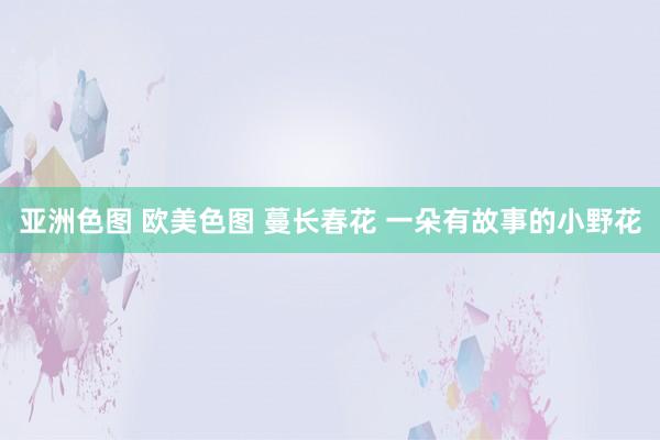 亚洲色图 欧美色图 蔓长春花 一朵有故事的小野花