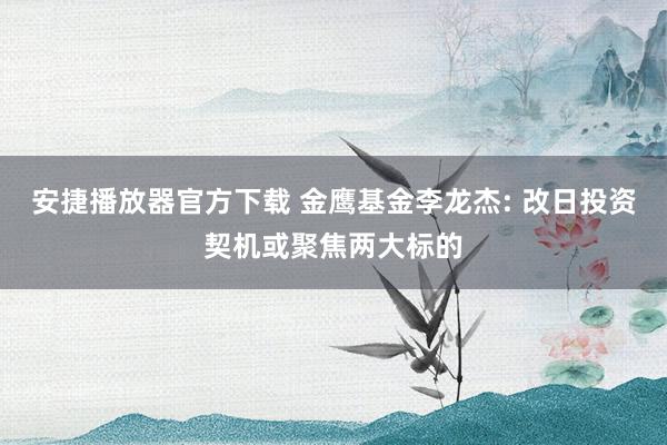 安捷播放器官方下载 金鹰基金李龙杰: 改日投资契机或聚焦两大标的