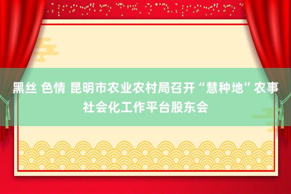 黑丝 色情 昆明市农业农村局召开“慧种地”农事社会化工作平台股东会